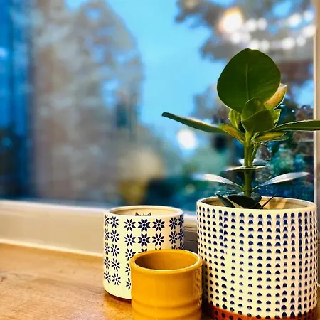 דירה Cozy Flat 5 קונסטנצה