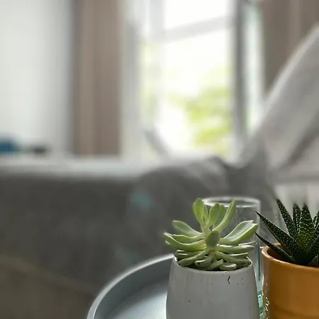 Cozy Flat 5 *