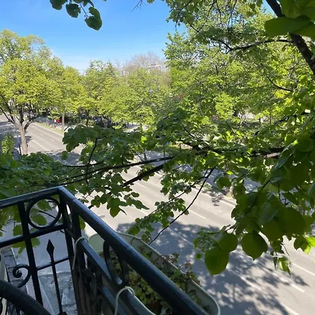 Apartmán Cozy Flat 5 Constanţa