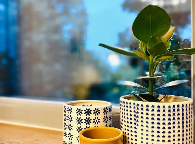 Apartamento Cozy Flat 5 Constanţa